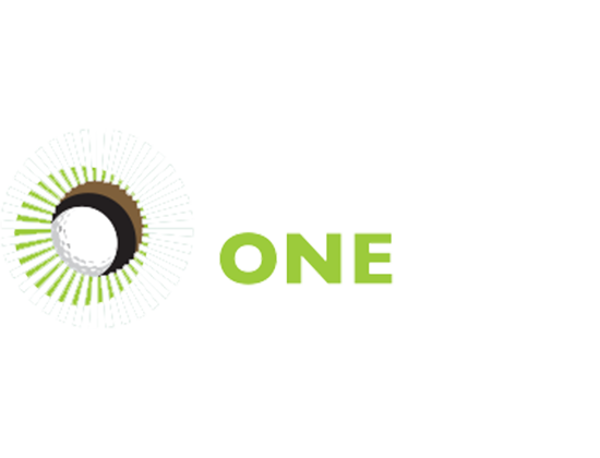 Hole in One Group Logo