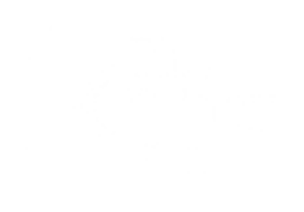 The Kidney Fund