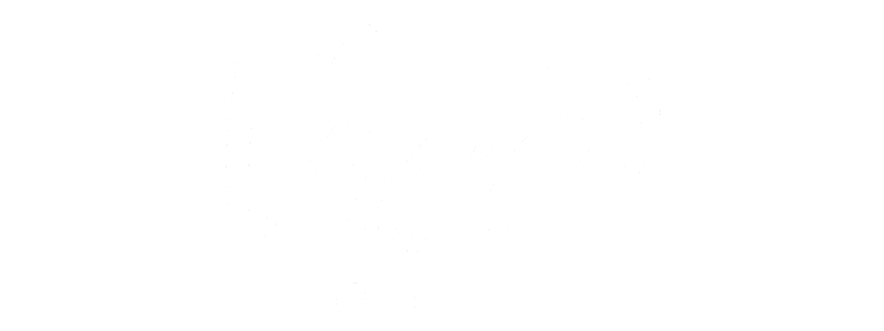 Vice Logo